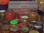 Волонтёры к 23 февраля собирают гумпомощь для солдат в Херсонской области