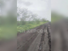 Появилось видео, как автобус со школьниками застрял в грязи по дороге в херсонское село