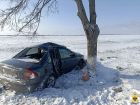Полицейские Херсонской области показали кадры ДТП с врезавшимся в дерево автомобилем