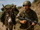 ВСУ смеялись над ослами, а теперь сами катаются на них — и на Херсонщине тоже