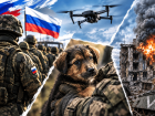 Новости СВО: новая волна мобилизации в РФ, щенок спас бойцов от дрона, наглых ВСУшников накрыли в Херсоне