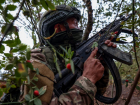 ВС РФ перемололи более 60 боевиков ВСУ под Херсоном