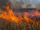 Пожарный апокалипсис в Херсонской области: власти вводят ЧС из-за катастрофического роста полевых пожаров