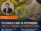 Майский фронт: как спасти урожай в херсонскую жару?