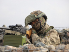Российский военный рассказал о редкой находке под Херсоном