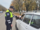 Госавтоинспекторы Херсонской области поймали 21 водителя без прав за выходные
