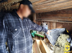 У жителя Каланчакского округа обнаружили 300 грамм конопли