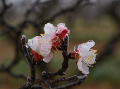 Херсонщину ждут шторм и ночные заморозки до -3 градусов