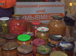 Волонтёры к 23 февраля собирают гумпомощь для солдат в Херсонской области