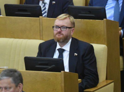 Александр Малькевич прокомментировал скандальные слова депутата Милонова о «подарках проституткам»