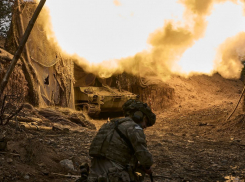 Военэксперт: ВС РФ контролируют острова в дельте Днепра