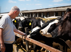 Какие проблемы одолевают херсонцев: Сальдо попросил помощи зала