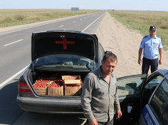 Тысячей рублей за перевозку клубники хотел откупиться житель ДНР от ГАИ в Херсонщине