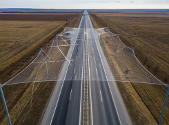 Перед освобождением Херсона армией России Киев планирует освоить 460 млн на антидроновые сети 