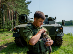 ВС РФ нанесли удар по шести бригадам ВСУ: ликвидировано до 85 военных