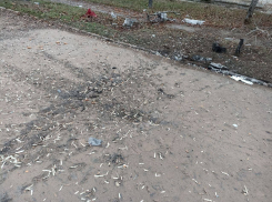 В Новой Каховке показали кадры повреждений жилого сектора после обстрела ВСУ 