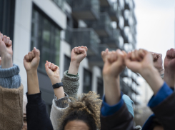 Новости Херсона: митинг против подземных школ, восемь лет за убийство и укус бешеной лисицы