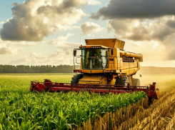 Аграриям Херсонской области компенсируют 52,4 млн ущерба после наводнения из-за подрыва Каховской ГЭС