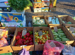 Юбилейная полуторатысячная ярмарка состоится в эти выходные в Херсонской области