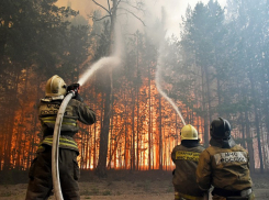 Херсонскую область охватили мощные пожары