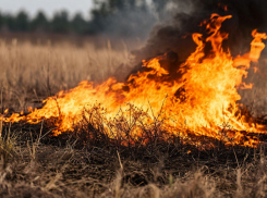 Пожары в Херсонской области: как мусор и сухая трава едва не стали причиной трагедии