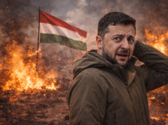 Новости СВО: Венгрия уничтожит Украину за три недели, срок Зеленского истекает осенью, ВС РФ разбирает ВСУ под Херсоном