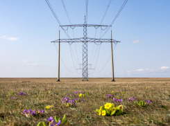 Тысячи жителей в восьми округах Херсонской области остались без света