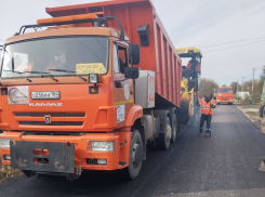 После общественного резонанса власти начали ремонт убитой дороги в Новоалексеевке 