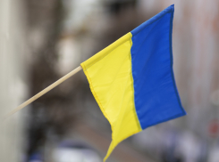 «Воспользовались и выбросили»: агенты СБУ массово предают украинцев и шантажируют бизнесменов в Херсоне