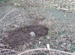 Бехтеры завалены неразорвавшимися снарядами после обстрела ВСУ