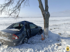 Полицейские Херсонской области показали кадры ДТП с врезавшимся в дерево автомобилем