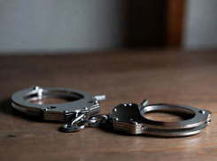 В Херсонской области фермер похитил у государства более 400 тысяч рублей