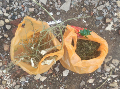 У жителя Херсонской области изъяли пакеты с коноплёй