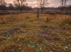 Херсонские полицейские спасли подорвавшегося на «лепестке» подростка