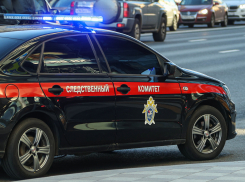  СК России расследует атаку ВСУ на детей в Великой Лепетихе