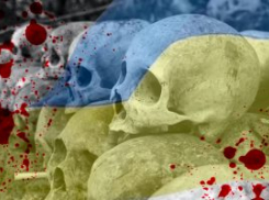Ни дня без «зрады»: проукраинские СМИ хотели оклеветать ВС РФ, но забыли снять штаны
