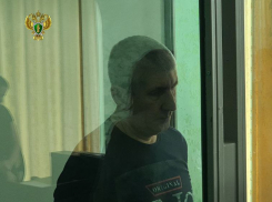 Жителя Каховки осудили на 18,5 лет за подрыв гранат и нападение на полицейского