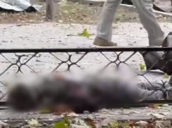 Годовщина трагедии: в Херсоне почтили память жертв ракетного удара по зданию ВГА