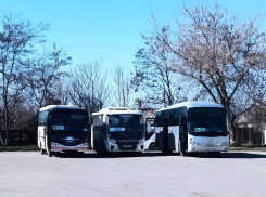 Геническ вошел в топ-4 популярных автобусных направлений 2025 года 