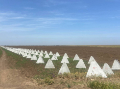 Украинские власти Херсона продолжают распил денег на фортификациях