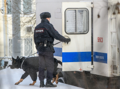 Задержанного ФСБ херсонца отправили в колонию за призывы к экстремизму