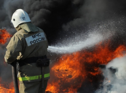 Более 100 га леса выгорело после ударов ВСУ по Херсонщине