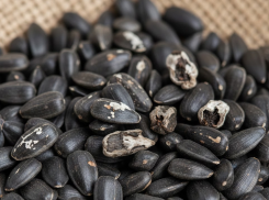 Шесть хозяйств Херсонской области засеяли поля семенами неизвестного качества