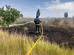 В прошлом году пожары в Херсонской области унесли жизни 14 человек 