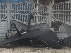 Губернатор Сальдо показал фото настоящего украинского «боевого дракона»