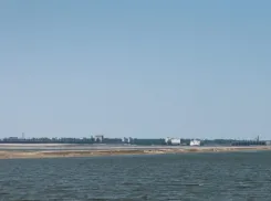 Херсонская область мечтает о виноделии, но наращивает производство зерна