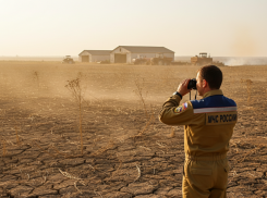 Херсонская область на грани: МЧС продлило режим ЧС в агросекторе из-за засухи