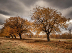 Срывает крыши и рвёт провода: на Херсонщину обрушится ураганный ветер