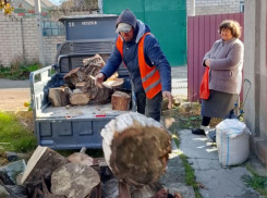Пожилой жительнице Геническа пришлось выпрашивать дрова у Сальдо