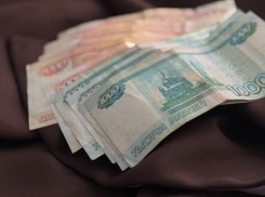 В Херсонской области фермер похитил у минсельхоза полмиллиона рублей